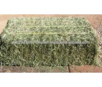 Alfalfa hay for sale